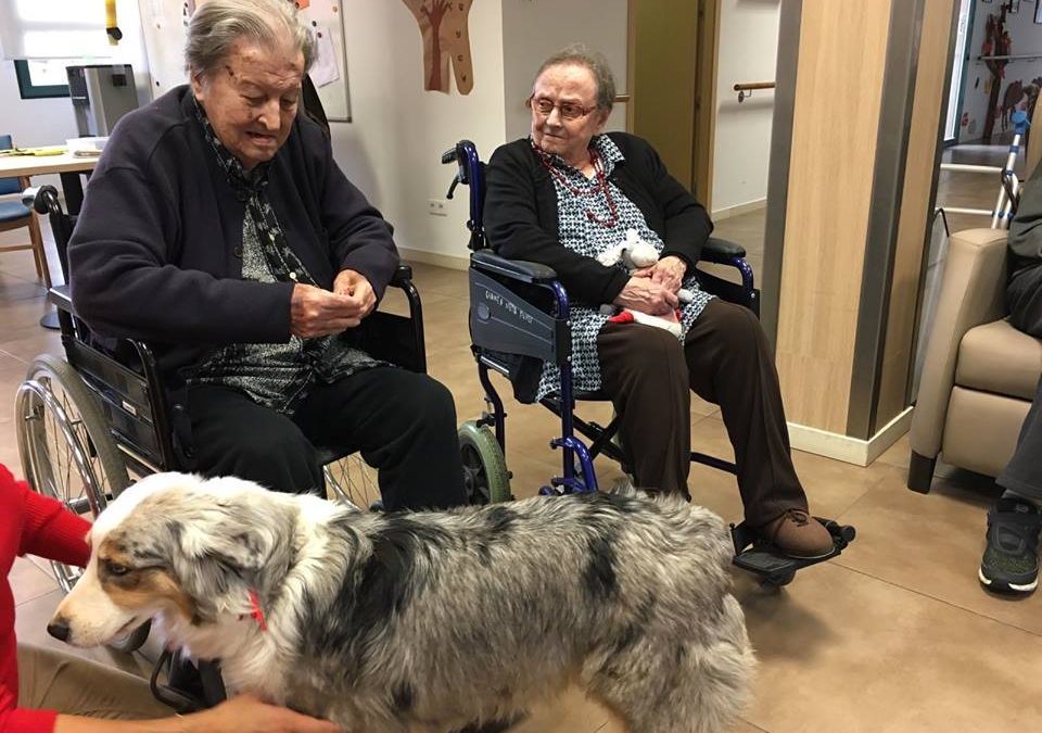 Fent psicomotricitat