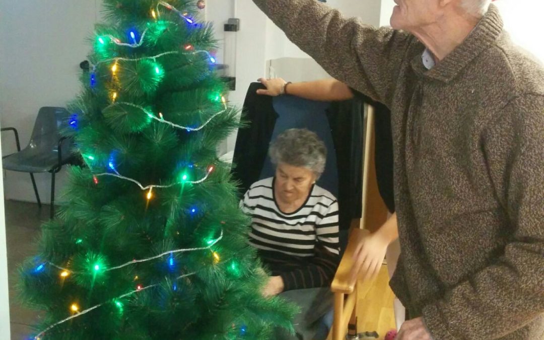 Preparant els arbres de Nadal