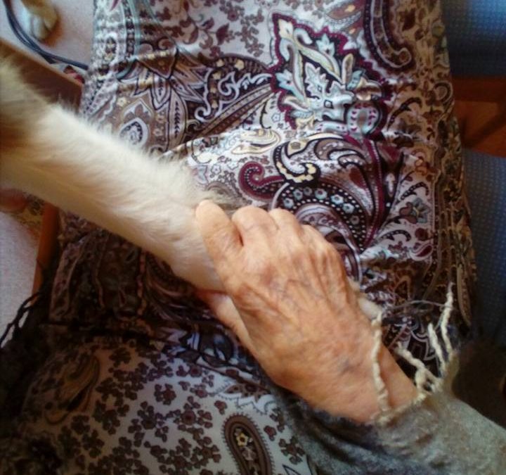 Tornem a rebre la visita dels nostres amics els Gossos