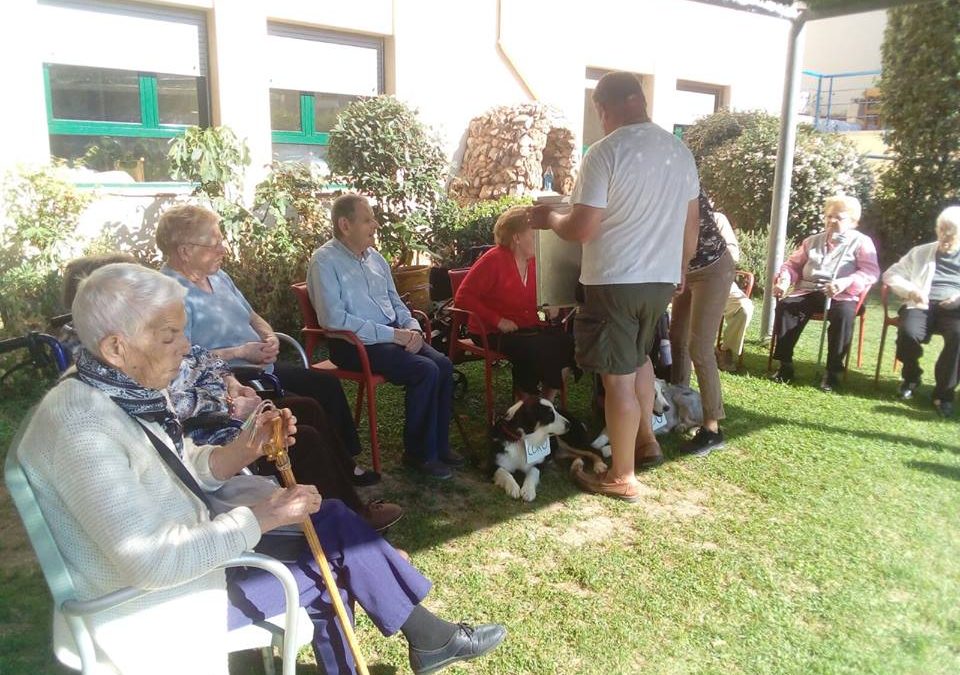 L’estona que dediquem als nostres amics els gossos