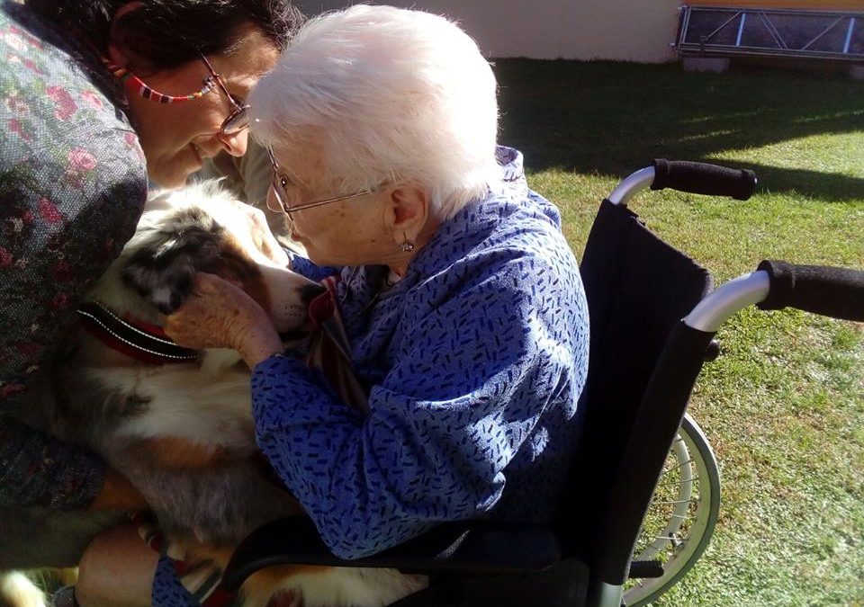 Passant una bona estona amb els gossets