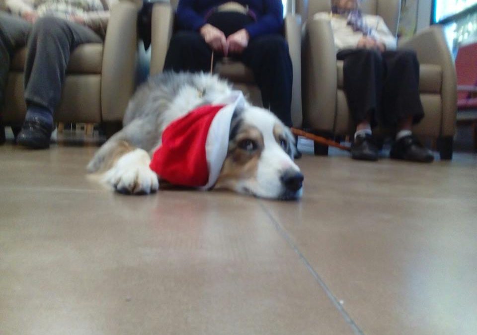 L’esperit del Nadal ens envolta….