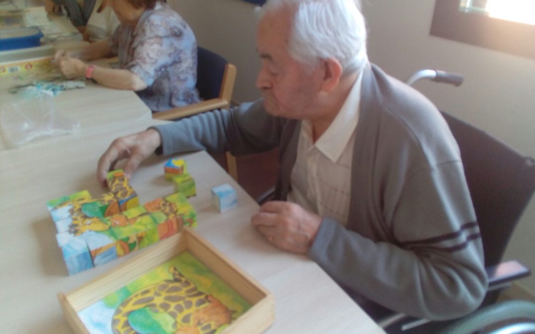 Taller fent puzzles