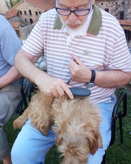 Caricies i més caricies dels nostres amics de quatre potes