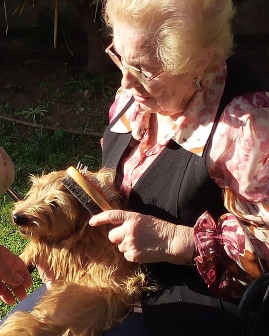 L’Scar i en Klinton ens visiten