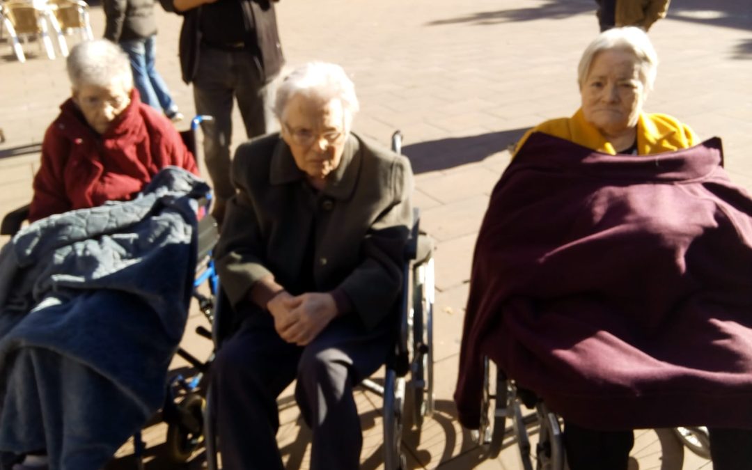 Com cada dimarts, hem sortit a passejar