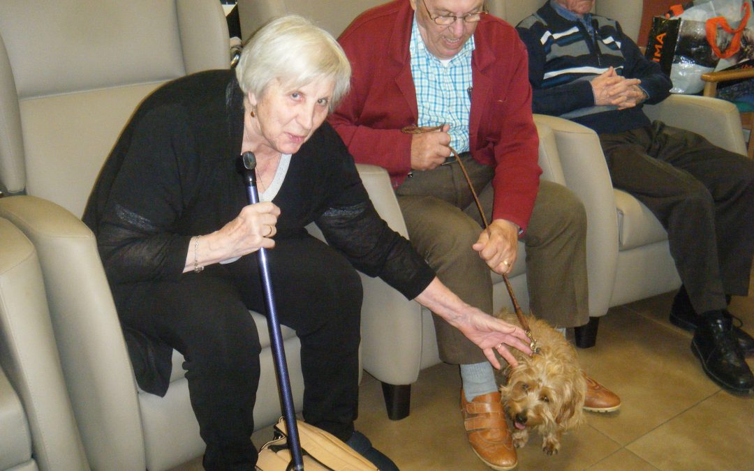 Visita canina setmanal