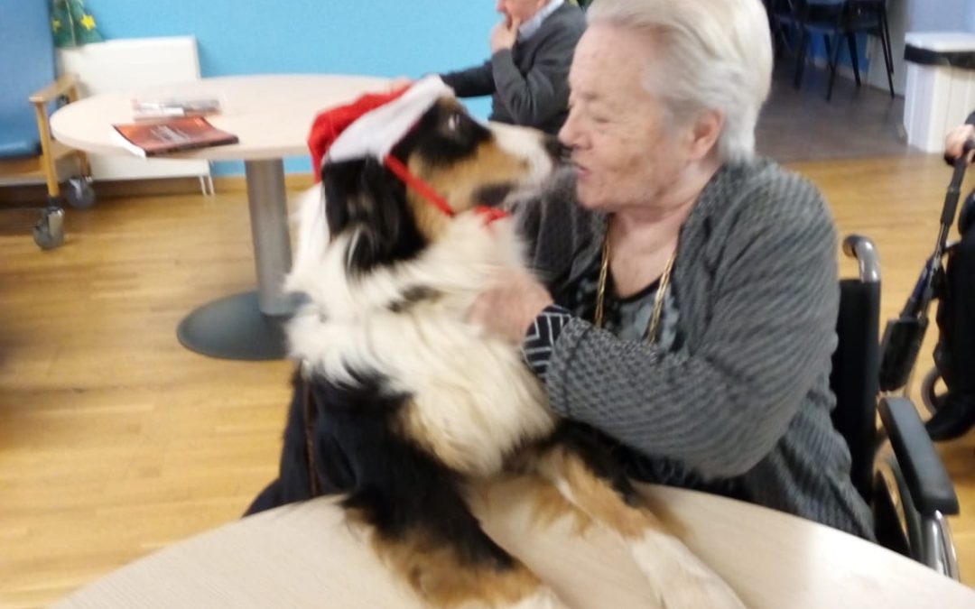 Visita nadalenca dels nostes amics gossets