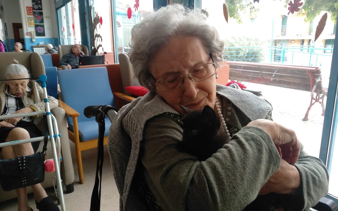 Els mininos de l’Asil